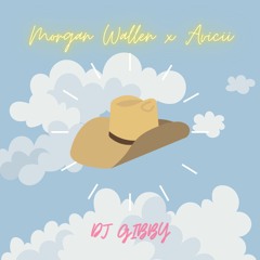 Last Night X Levels -Morgan Wallen X Avicii (DJ Gibby)