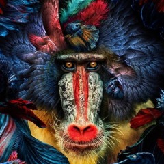 MONKEY#8