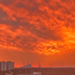 I wish I could unknow you