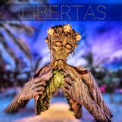 BASSAUER - LIBERTAS (LIVE DJ SET)