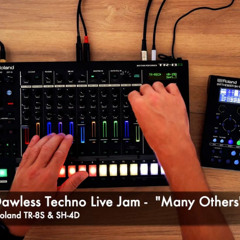 Warehouse Techno live track  "Many Others" I Dawless with Roland TR-8S & SH-4D