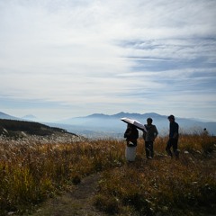 Stereolab - Miss Modular (VSURF FLEX)