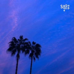 Open Sesame 021 - Sadeedo