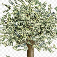 Money trees
