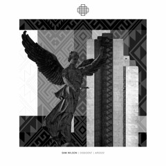 Premiere: Sam Wilson — Night Rain [Arido Records]