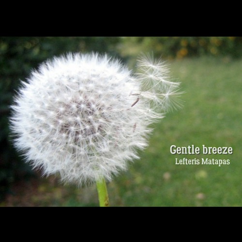 Gentle breeze
