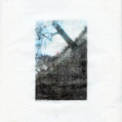 Staś Czekalski - Fall