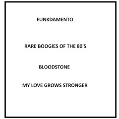 Rare 80’s boogie, funk & dance grooves - Peter Wuts - 2