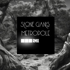 Metropole (◼︎◼︎◼︎ RMX)