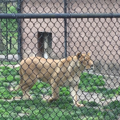 getting paper RAW ( k stacks).mp3