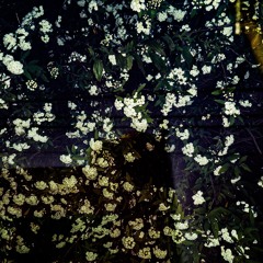 deja de huir (prod. ikari star)