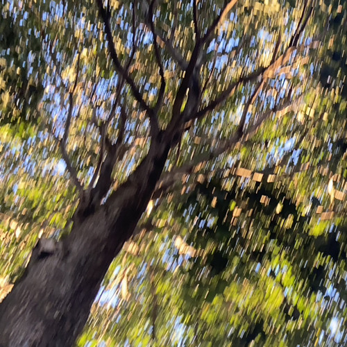 Gliacci - Caminhos opostos  (prodbychagas)