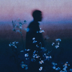 The Visual Mood - Don't look back