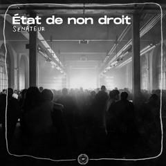 Etat De Non Droit