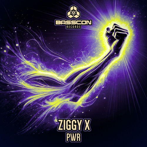 ZIGGY X - PWR