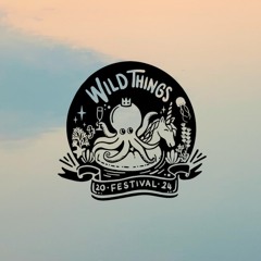 FIZZX @ WILD THINGS FESTIVAL 2024