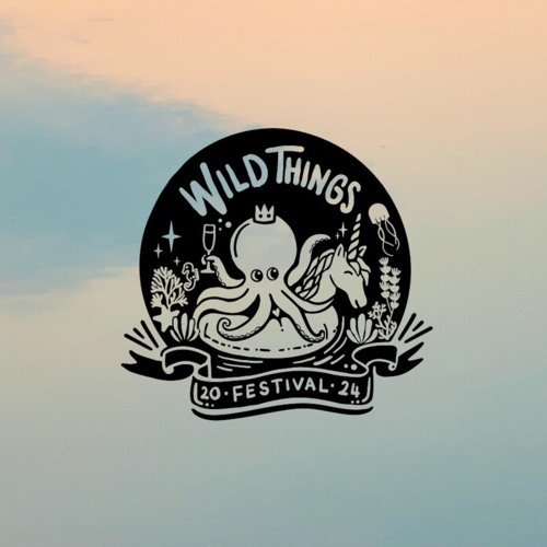 FIZZX @ WILD THINGS FESTIVAL 2024