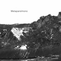 Metaparsímono (2020)