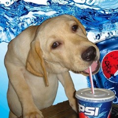 Pepsi Dog