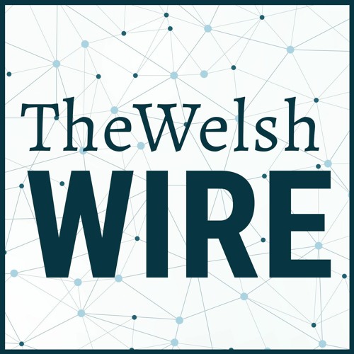 The Welsh Wire featuring Mary Jane Mapes of The Aligned Leader Institute