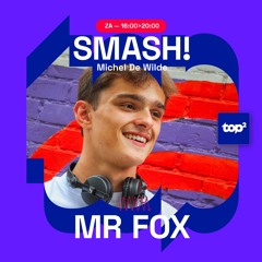 TOP2 Smash! In The Mix MrFox