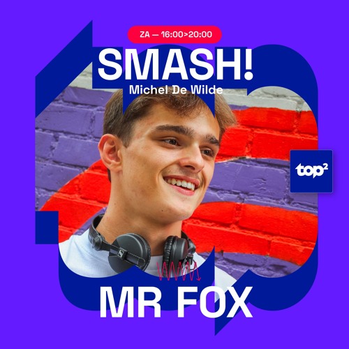 TOP2 Smash! In The Mix MrFox