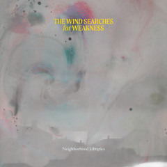 The Wind Searches for a Weakness