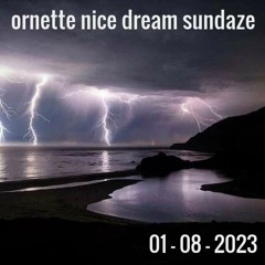 Ornette - January 8th, 2023 "Nice Dream Sundaze" Vinyl Set