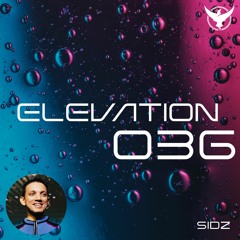 Elevation 036 - Sidz