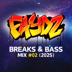 DJ FAYDZ - BREAKS & BASS MIX 02 (2025)