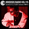 WHOOSIS RADIO VOL.115｜DJ TEMRY FROM BERLIN DJ mix artwork - Electronic music tracklist cover image