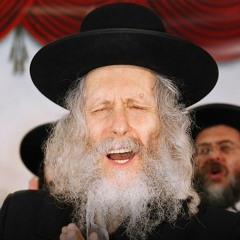 הרב אליעזר ברלנד שיעור כ"ח טבת תשע"א