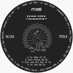 Ccino Deep - New Vision (Main Mix)