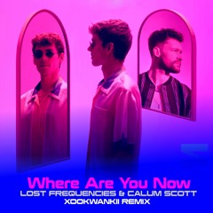 Lost Frequencies Ft. Calum Scott - Where Are You Now (Xookwankii Remix)