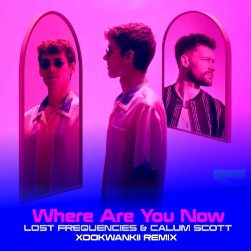 Lost Frequencies & Calum Scott - Where are you now lyric video