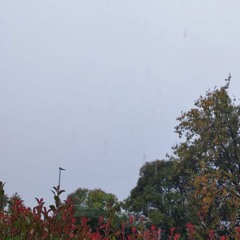 PROVARCI - GIALLORENZO -- Acoustic Cover