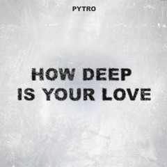Calvin Harris Ft. Disciples - How Deep Is Your Love Pytro Remix