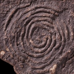 Spirals