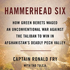 free EPUB 💘 Hammerhead Six: How Green Berets Waged an Unconventional War Against the