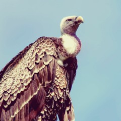 There Are Spies All Around Us