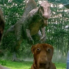 Full Sets 🏴‍☠️