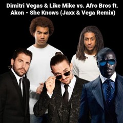 Dimitri Vegas & Like Mike vs. Afro Bros Ft. Akon - She Knows (Jaxx & Vega Remix)