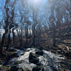 Black Smurf - Care Free Slowed