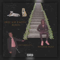 WHOISK3NZO & VERYSADLUCY “Free Joe Exotic” (Remix)