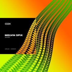 Melvin Spix - Black Mirror