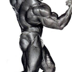 kevin levrone X Dark beach