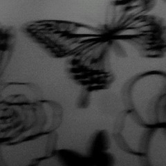 Butterfly (2021)