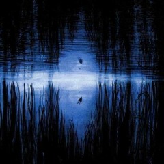 loota - love sick ft tohji