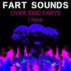 Fart Sounds - Over 1000 Farts (Chopped and Screwed) (RARE)