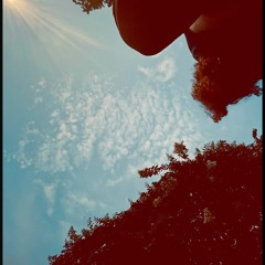 Fractal Arbitar (Demo)